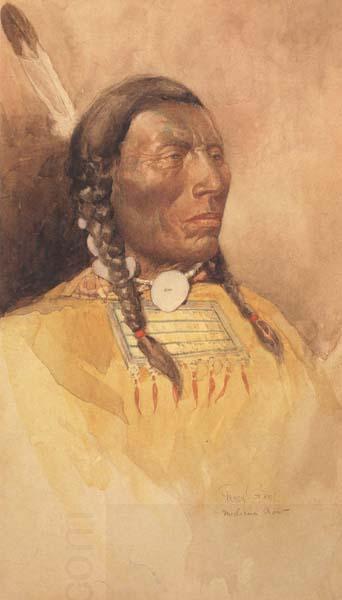 Percy Gray Medicine Crow (mk42) China oil painting art